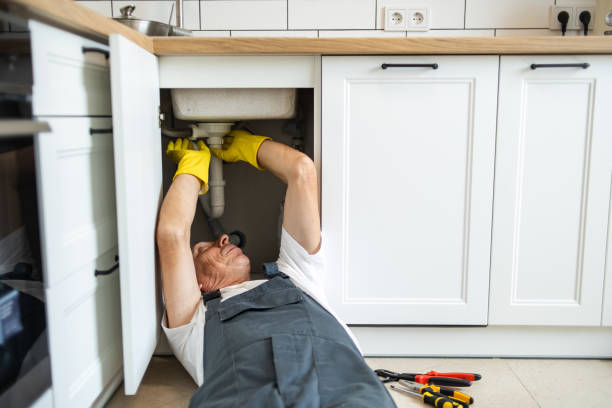  Horse Shoe, NC Plumbing Pros