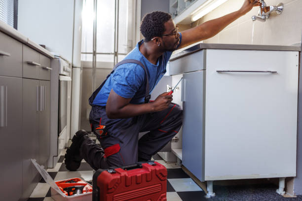 Best Commercial Plumbing Services  in Horse Shoe, NC
