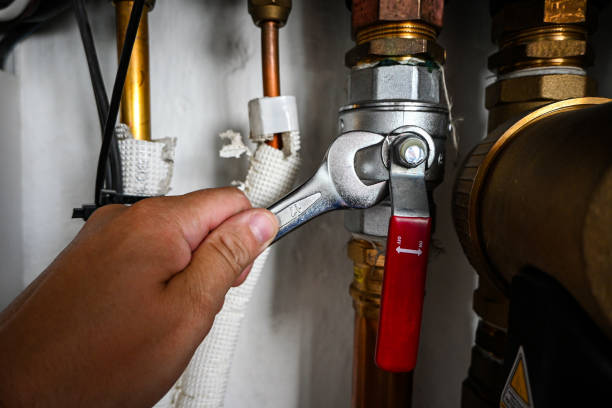 Best Plumbing Inspection Services  in Horse Shoe, NC